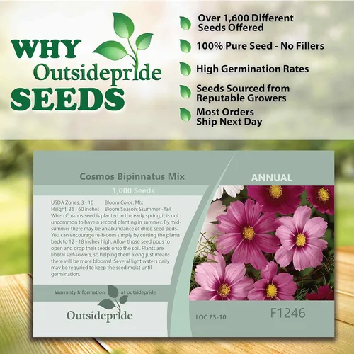 Vista 5 de Outsidepride Mezcla anual de semillas de flores silvestres Cosmos Bipannatus de 1000 semillas para plantar