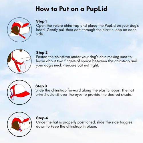 Vista 4 de Nature Collection, sombreros de camionero PupLid para perros (XXS) Protección solar elegante de alta calidad para el perro moderno, ajustable