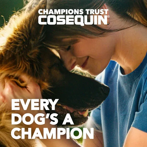 Vista 2 de Tabletas masticables para perros de Nutramax Cosequin DS