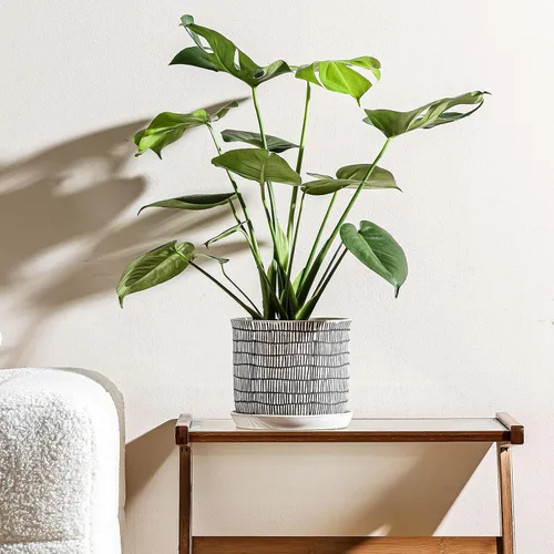 Vista 46 de Macetas de 5.8 pulgadas: maceta de cerámica con orificio de drenaje y platillo - Maceta para plantas de interior y exterior - Diseño con cuentas