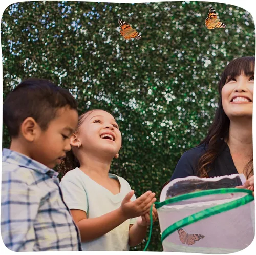 Vista 7 de Kit de jardín de mariposas Insect Lore con orugas vivas – Cría 10 mariposas Painted Lady - Actividad de aprendizaje STEM, hábitat con diario