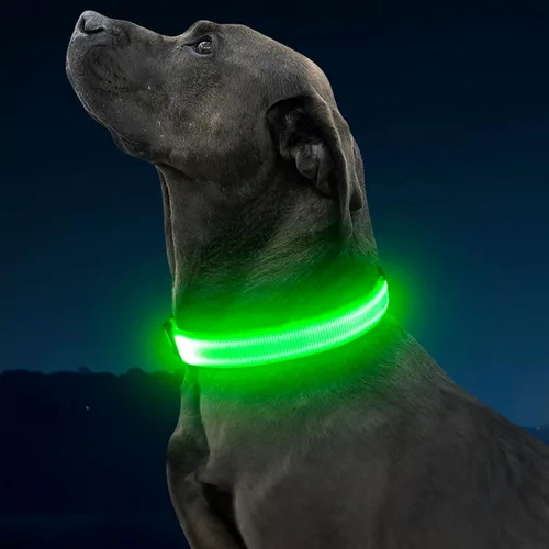 Vista 8 de Illumifun Collar LED para Perros Pequeños - Collar de Seguridad para Perros con Luz Recargable por USB, Collar con Luz de Correa de Nailon Ajustable
