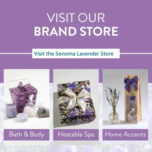 Vista 4 de Sonoma Lavender Animales de aromaterapia para microondas, elefante de felpa, perfumado de lavanda con funda extraíble y lavable