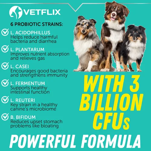 Vista 3 de Probióticos prémium para perros y gatos - Suplemento de enzimas digestivas y prebióticos - Ayuda a aliviar la diarrea, vómitos, malestar estomacal