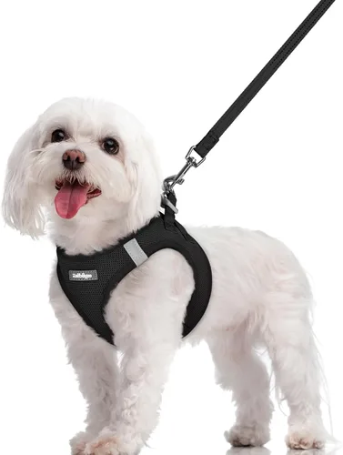 Vista 44 de rabbitgoo Juego de arnés para perro, tamaño pequeño y correa, chaleco ligero suave para cachorro, arnés de malla transpirable para mascotas, Negro