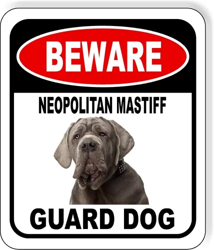 Vista 126 de BEWARE BASSETT HOUND GUARD DOG - Letrero compuesto de aluminio para exteriores, 8.5 x 10 pulgadas