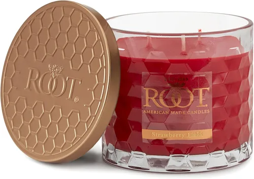 Vista 41 de Root Candles Velas perfumadas de cera de abeja Veriglass Premium, hechas a mano, mezcla de cera de abeja en panal, tamaño grande, vainilla francesa