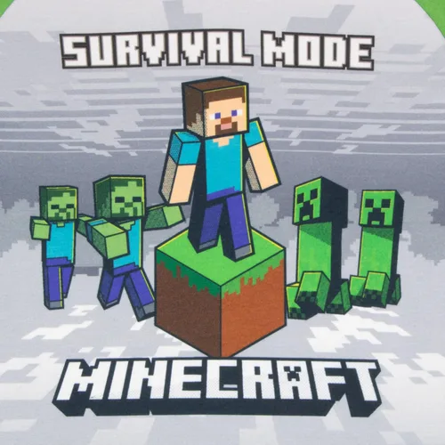 Vista 5 de Minecraft Boys Minecraft