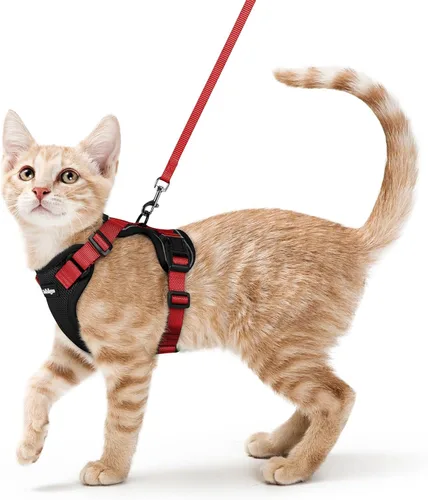 Vista 58 de rabbitgoo Arnés y correa para gatos para caminar, chaleco suave ajustable a prueba de escape para gatos, chaqueta de control fácil transpirable