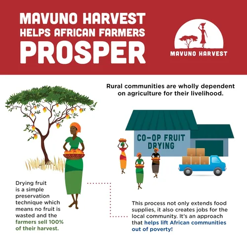 Vista 4 de Mavuno Harvest - Fruta seca 100% orgánica, 6 paquetes de 2 onzas de Jaca