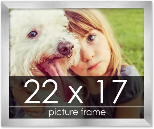 Vista 74 de Marco de madera de peltre plateado de 3 x 4 pulgadas, acrílico UV, respaldo de tablero de espuma y accesorios para colgar, marco de 3 x 4 pulgadas