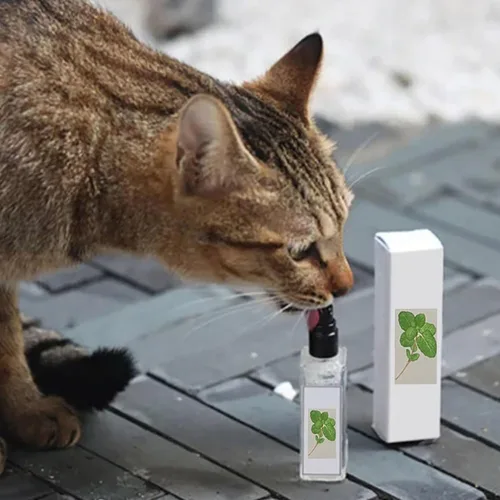 Vista 2 de Herbal Cat Joy, spray herbario para gato, espray de hierba gatera, espray de hierba gatera para gatos de interior, spray calmante para gatos