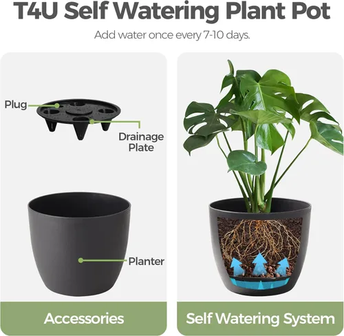 Vista 9 de T4U Macetas de Plástico de Riego Automático de 6 Pulgadas, Maceta Decorativa Moderna/Jardinera para Todas las Plantas de Casa, Flores, Hierbas, Negro