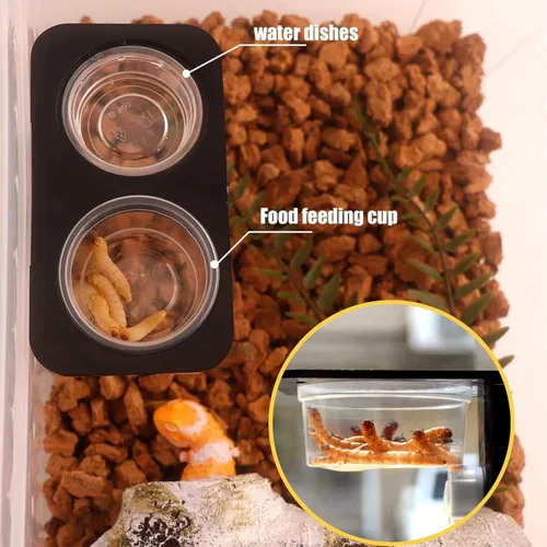 Vista 4 de Vasos de alimentación de agua y alimentos con cresta de Gecko de 0.5 onzas, cuencos de alimentación de reptiles, plato de comida de repuesto