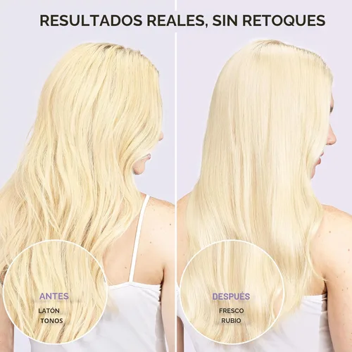 Vista 2 de L'Oreal Paris Champú Morado Tonificante Anticobrizo Sin Sulfato para Cabello Rubio, Decolorado, Plateado o con Mechas Marrones, EverPure, 6.8 Fl Oz