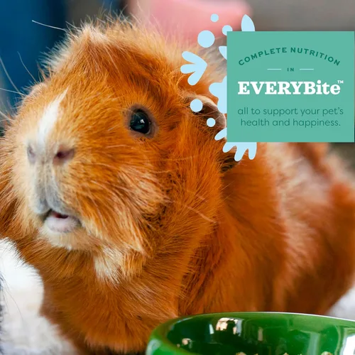 Vista 6 de Oxbow Essentials Alimento para Conejillo de Indias, Conejillo de Indias Adulto, Hecho con Heno Timothy de Oxbow, Pellets de Comida para Mascotas