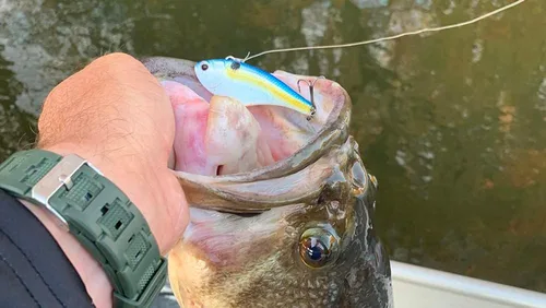 Vista 2 de Nomad Design Swimtrex Señuelo de pesca con vibración sin labios con sistema patentado de ajuste automático, acción realista de pez cebo, movimiento