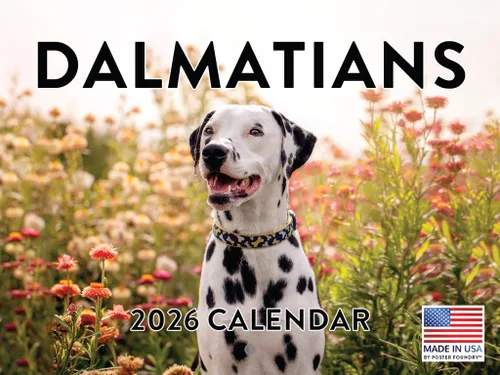 Vista 96 de Calendario Akita 2026 mensual de pared de 12 meses, fabricado en Estados Unidos