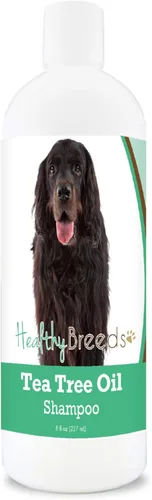 Vista 57 de Healthy Breeds Chow Chow Champú de aceite de árbol de té, formulado para pieles secas e irritadas, reduce la caspa, aroma de gaulteria, 8 onzas