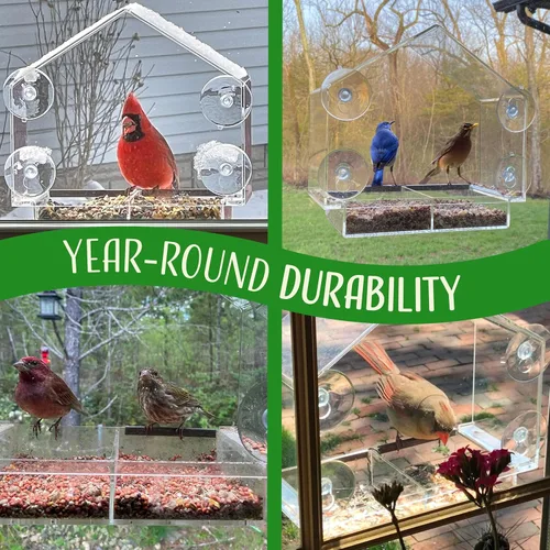 Vista 4 de Comedero para pájaros de ventana con ventosas fuertes, comederos de ventana transparentes para exteriores - casa de pájaros transparente, soporte