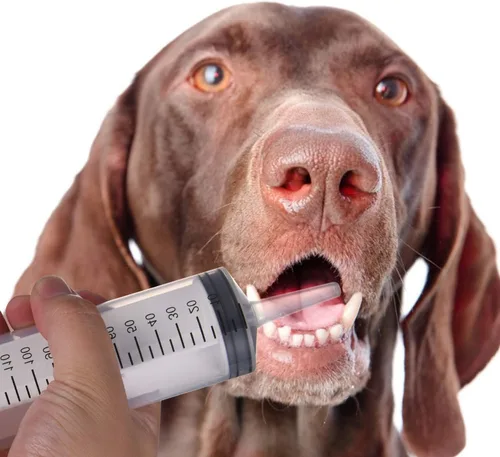 Vista 6 de 2 jeringas grandes de plástico, jeringas industriales de jardín para laboratorios científicos, medición, riego, relleno, filtración, múltiples usos