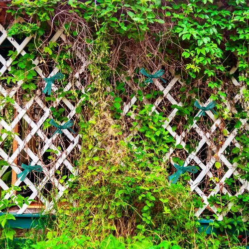 Vista 5 de KINGLAKE GARDEN Rollo de cinta elástica para atar – 2 rollos en total de 300 pies 1/2 pulgada, cinta de jardín verde para plantas de jardín