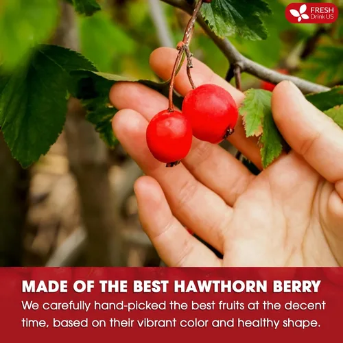 Vista 316 de FreshDrinkUS, 135 bolsas de té de jengibre y cúrcuma premium, ingredientes 100% naturales, mezcla hecha a mano de té de hierbas de cúrcuma