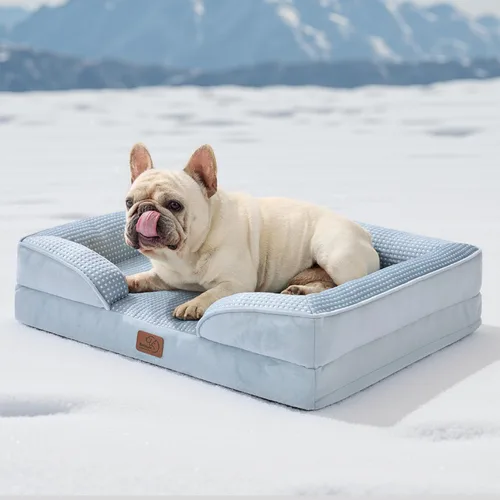 Vista 118 de Bedsure Cama ortopédica para perros de tamaño mediano – Cama lavable para perros medianos y gatos, impermeable, cómodo sofá para mascotas con funda