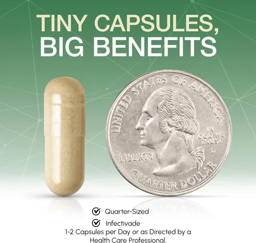 Vista 8 de IGG con factor de transferencia, suplemento de inmunoglobulina IgG de calostro bovino puro y lactoferrina, fortalece el sistema inmune, intestino