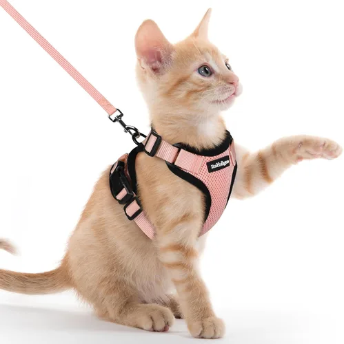 Vista 44 de rabbitgoo Arnés y correa para gatos para caminar, chaleco suave ajustable a prueba de escape para gatos, chaqueta de control fácil transpirable