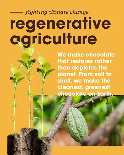 Vista 5 de Alter Eco Menta Creme Truffle Thins, barra de chocolate con relleno de trufa Gooey Ganache, sin gluten, aperitivos sin OMG, sin aditivos ni