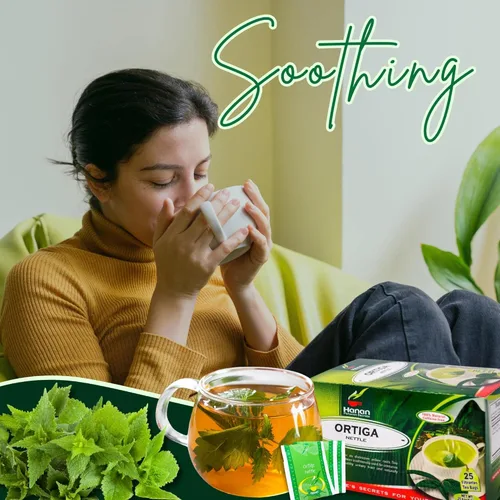 Vista 2 de Hanan Té de ortiga 25 bolsas de té de hojas de ortiga y raíz Té de hierbas totalmente natural de hojas de ortiga silvestres de Perú Suplemento