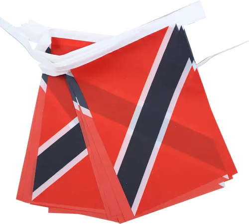 Vista 16 de Guatemala 19.7 ft BUNTING Flag 20 banderas 9'' x 6'' - Banderas de cuerda guatemalteca 5.9 x 8.3 in - AZ FLAG