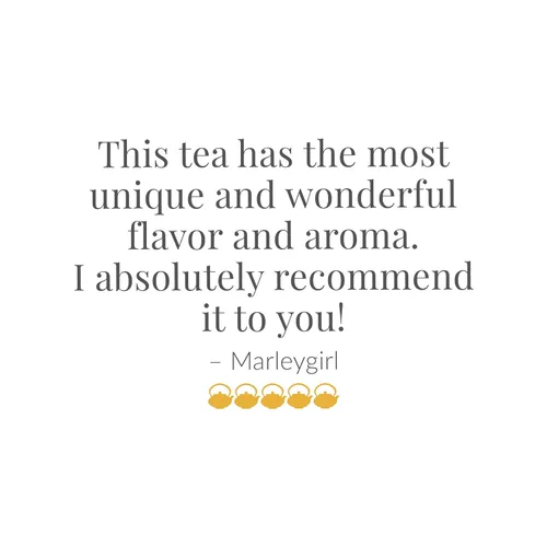 Vista 7 de The Republic of Tea - Té rojo de manzana caramelo, 36 unidades, té de hierbas de rooibos sin cafeína