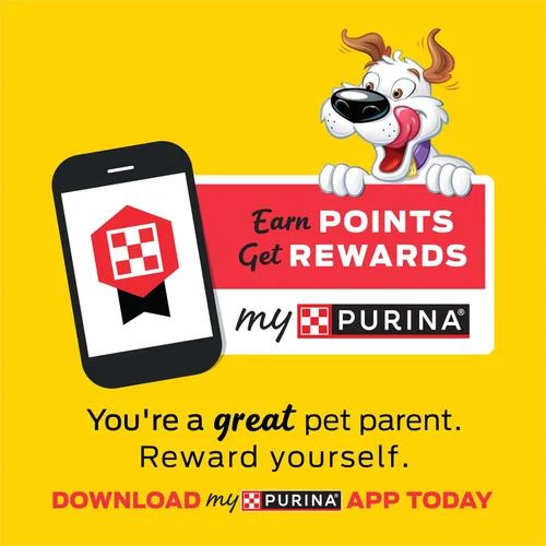 Vista 8 de Purina Beggin' Strips Golosinas para Perros de Carne Real, Sabor a Humo de Hickory de Corte Grueso - (Paquete de 2) Bolsas de 26 oz