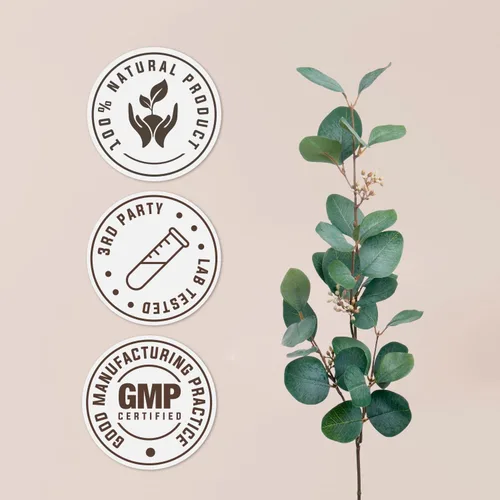 Vista 4 de Bacopa USDA Organic Extracto sin alcohol, gotas de hierbas orgánicas, suplemento, relajación, efecto cognitivo positivo Tintura hecha de Bacopa