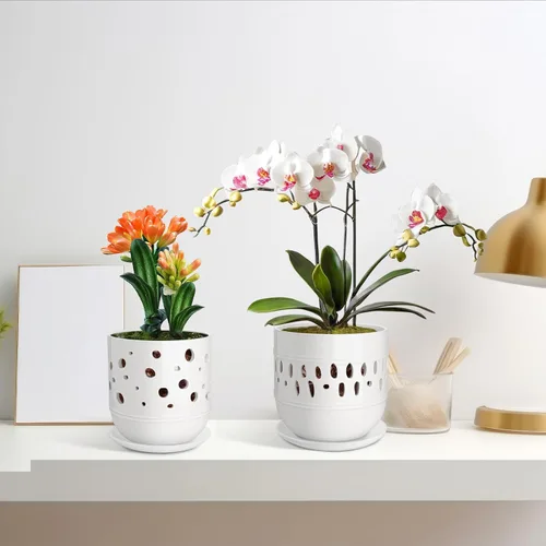 Vista 4 de Macetas para orquídeas LITUDISO, 5+6 pulgadas, blancas, de cerámica, aireadas, para interior/exterior, 7 pulgadas de ancho/altura, paquete de 2