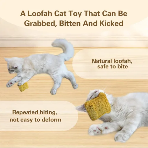 Vista 7 de Juguetes masticables para gatos con hierba gatera y SilverVine (Actinidia) para gatitos y gatos: cuidado dental y comodidad para la dentición