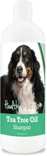 Vista 27 de Healthy Breeds Chow Chow Champú de aceite de árbol de té, formulado para pieles secas e irritadas, reduce la caspa, aroma de gaulteria, 8 onzas