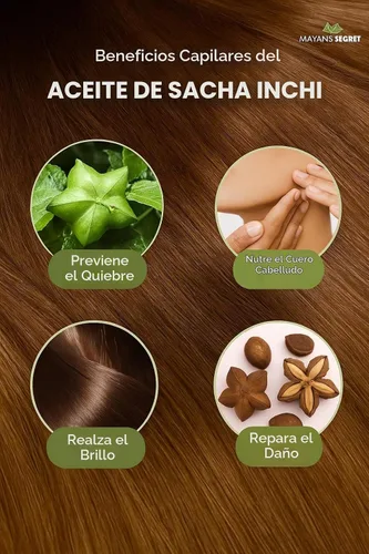 Vista 3 de Mayan's Secret Aceite de Sacha Inchi - Omega-3-6-9 orgánico certificado por USDA