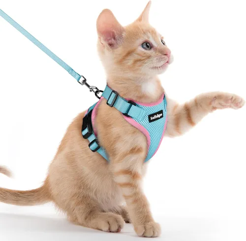 Vista 32 de rabbitgoo Arnés y correa para gatos para caminar, chaleco suave ajustable a prueba de escape para gatos, chaqueta de control fácil transpirable