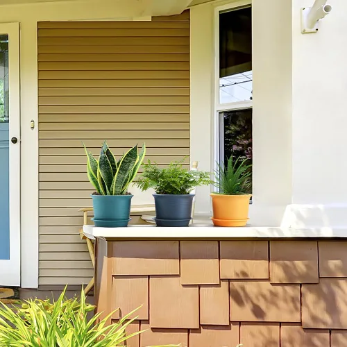 Vista 5 de Paquete de 6 macetas para plantas de interior, macetas con orificio de drenaje y platillo de bandeja, maceta de 7 pulgadas, macetas de 6 pulgadas