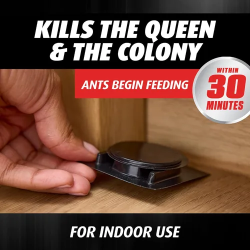 Vista 4 de Ortho Orthene Ant Killer Ant Bait - Asesino de hormigas de interior, mata a la reina y la colonia, 12 estaciones de cebo
