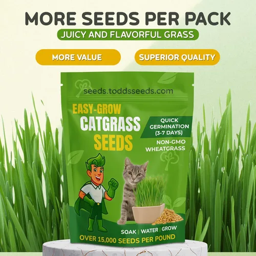 Vista 2 de Todd's Seeds, semillas de pasto de trigo, una libra, semillas de hierba gatera, trigo rojo duro
