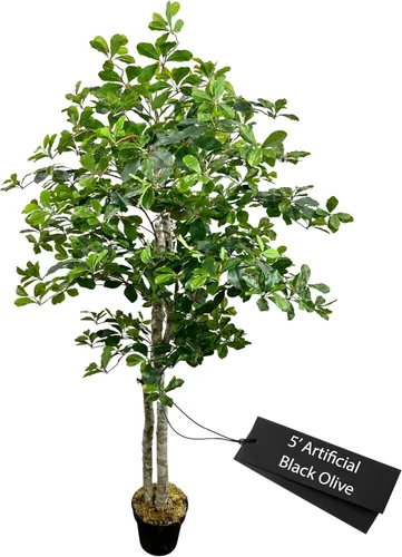 Vista 12 de Cypress & Alabaster Árbol artificial de hoja de olivo negro italiano hecho a mano de 4 pies con troncos de madera real de origen ético