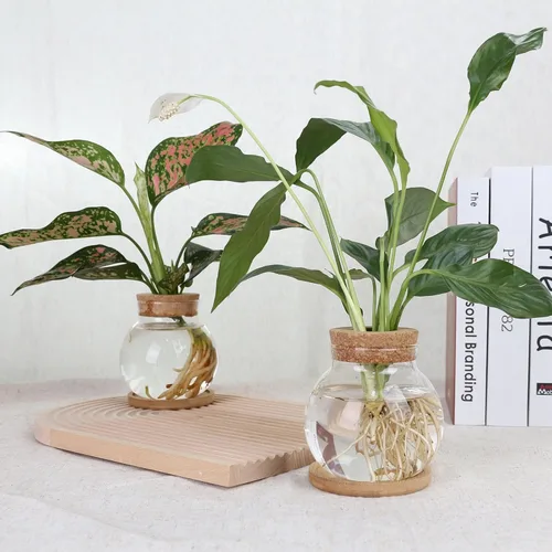 Vista 4 de Estación de Propagación de Plantas CHPINDAM, Jarrones de Contenedor de Vidrio Hidropónico, con Plato de Madera para Escritorios, Casas, Decoraciones