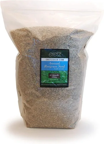 Vista 7 de Semilla de césped anual (RyeGrass) por Eretz - Cultivada en Willamette Valley, Oregon. Sin rellenos, sin malezas u otras semillas de cultivos (1 lb)