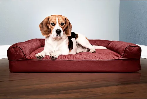 Vista 181 de Furhaven - Cama ortopédica para perros, estilo sofá, acolchada, con funda extraíble y lavable, color gris hierro, tamaño jumbo plus (XXL)