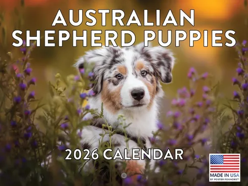 Vista 129 de Calendario Akita 2026 mensual de pared de 12 meses, fabricado en Estados Unidos