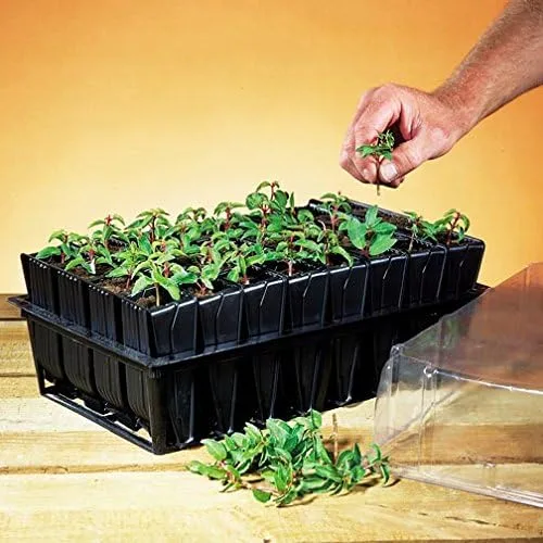 Vista 4 de Deep Rootrainers Kit - Kit de propagación de semillas y corte (32 celdas, 5 pulgadas de profundidad)